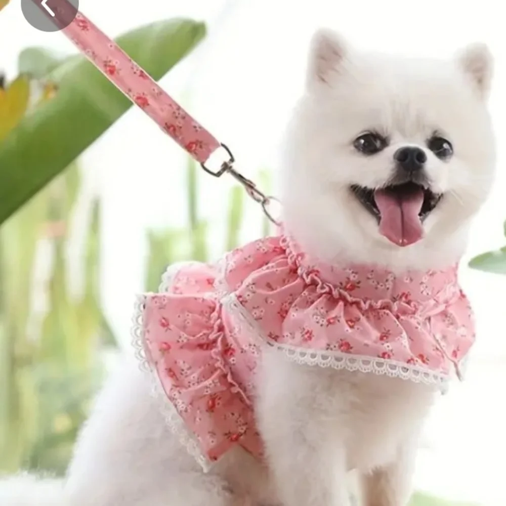 Divadoggies T-shirts and leash harnesses with.loop for chain attachment